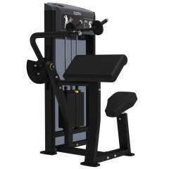 AeroFit IF9323 Разгибание рук из каталога грузоблочных тренажеров в Уфе по цене 238430 ₽