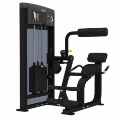 AeroFit IF9332 Разгибание спины из каталога грузоблочных тренажеров в Уфе по цене 262740 ₽
