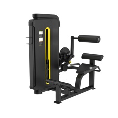 Svensson Industrial H3031 Matte Black Разгибание спины из каталога грузоблочных тренажеров в Уфе по цене 68000 ₽