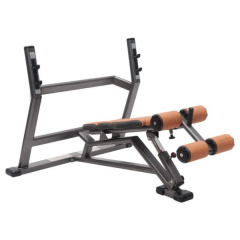 FitWorld FW-0630 с отрицательным углом из каталога скамей со стойкой в Уфе по цене 69000 ₽