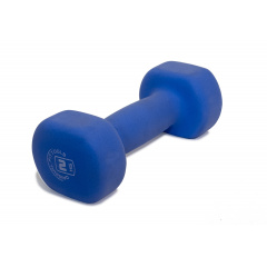 2 кг. синий FT-NDB-2 в Уфе по цене 810 ₽ в категории гантели Original FitTools