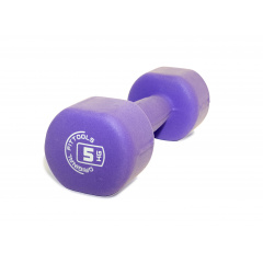 5 кг фиолетовая FT-NDB-5 в Уфе по цене 1360 ₽ в категории гантели Original FitTools