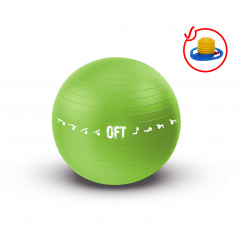 Original FitTools 65 см. с насосом зеленый FT-GBPRO-65GN из каталога фитболов  в Уфе по цене 1450 ₽