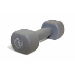 3 кг. серая FT-NDB-3 в Уфе по цене 1170 ₽ в категории гантели Original FitTools