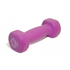 1 кг. розовый FT-NDB-1 в Уфе по цене 330 ₽ в категории гантели Original FitTools