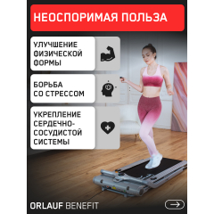 13 слайд галлереи