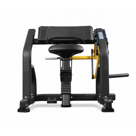 Рендер-12 для Bronze Gym PL-1713 Бицепс