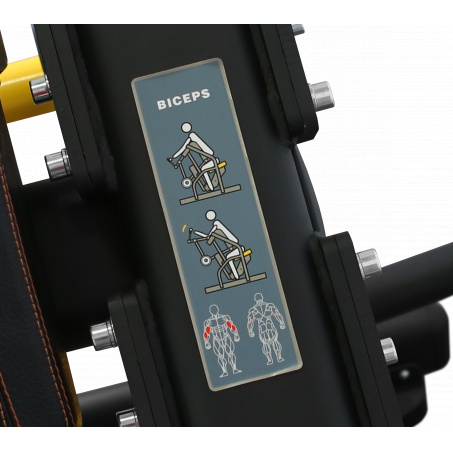 Рендер-8 для Bronze Gym PL-1713 Бицепс