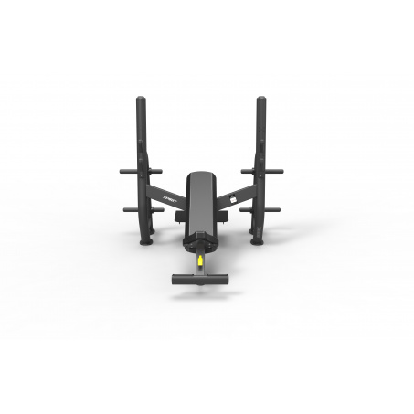 Рендер-1 для Spirit SP-4210 с отрицательным наклоном