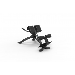 Spirit SP-4220 из каталога тренажеров для спины  в Уфе по цене 101700 ₽