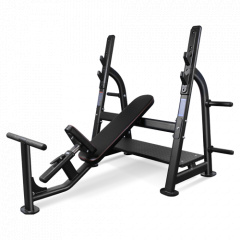 Bronze Gym BR-1014 наклонная из каталога скамей со стойкой в Уфе по цене 120990 ₽
