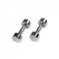 Bronze Gym 4 кг. BG-PA-DB-C04 из каталога хромированных гантелей в Уфе по цене 1360 ₽