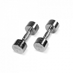 Bronze Gym 6 кг. BG-PA-DB-C06 из каталога хромированных гантелей в Уфе по цене 2040 ₽