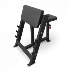 Bronze Gym AL-303 из каталога скамей Скотта в Уфе по цене 49890 ₽