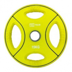 Protrain DB6092-15 (д=50 мм) из каталога дисков для штанги с посадочным диаметром 50 мм. в Уфе по цене 7980 ₽
