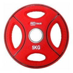 Protrain DB6092-5 (д=50 мм) из каталога дисков для штанги с посадочным диаметром 50 мм. в Уфе по цене 2300 ₽
