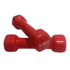 Protrain TA-2103-0,5 (пара) из каталога виниловых гантелей в Уфе по цене 510 ₽