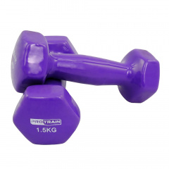 Protrain 1.5 кг. HC4005-1,5 из каталога виниловых гантелей в Уфе по цене 850 ₽