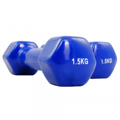 Protrain TA-2103-1,5 (пара) из каталога виниловых гантелей в Уфе по цене 1110 ₽