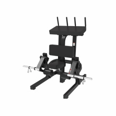 UltraGym UG-714 из каталога тренажеров на свободных весах в Уфе по цене 149405 ₽