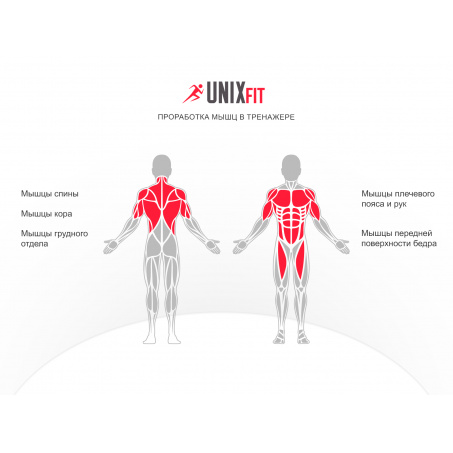 Рендер-12 для UnixFit Power Tower 150