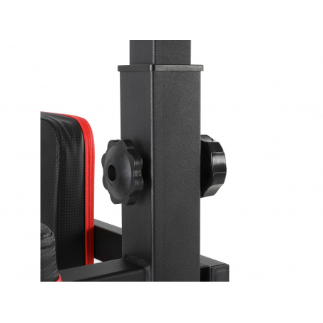 Рендер-6 для UnixFit Power Tower 150