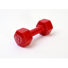 5 кг (Цвет - красный) в Уфе по цене 1790 ₽ в категории гантели Original FitTools