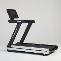 Koenigsmann F2.0 из каталога беговых дорожек в Уфе по цене 241830 ₽