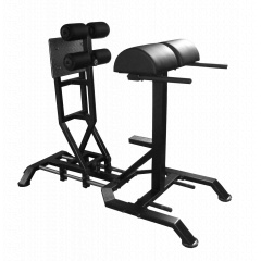 Bronze Gym GHD AL-921 из каталога тренажеров для спины  в Уфе по цене 107950 ₽