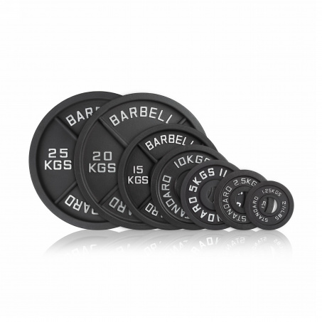 Рендер-2 для VictoryFit 2,5 кг чугунный окрашенный VF-SC510250