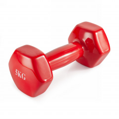 VictoryFit 5 кг. 1 шт. VF-DV050 из каталога виниловых гантелей в Уфе по цене 1450 ₽