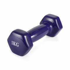 VictoryFit 1 кг. 1 шт. VF-DV010 из каталога виниловых гантелей в Уфе по цене 340 ₽
