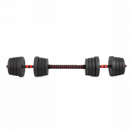 Рендер-2 для VictoryFit 30 кг. (2х15 кг.) VF-DC300