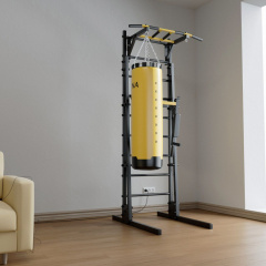 BarFits New Age GR2 Premium line из каталога металлических шведских стенок в Уфе по цене 59690 ₽