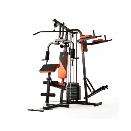 Рендер-0 для DFC HomeGym D7002-60 стек 60 кг