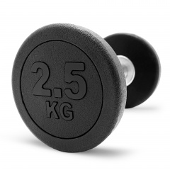 UnixFit PRO круглая 2,5 кг DBRND2_5PBK из каталога обрезиненных гантелей в Уфе по цене 940 ₽