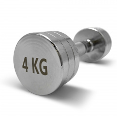 UnixFit PRO круглая 4 кг DBRND4PCE из каталога хромированных гантелей в Уфе по цене 1870 ₽