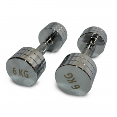 UnixFit PRO круглая 6 кг DBRND6PCE из каталога хромированных гантелей в Уфе по цене 2810 ₽