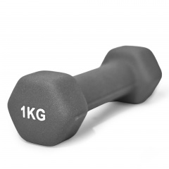 UnixFit 1 кг Grey DBNEO1GY из каталога неопреновых  гантелей в Уфе по цене 510 ₽