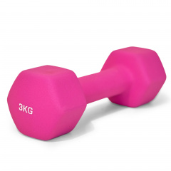 UnixFit 3 кг Pink DBNEO3PK из каталога неопреновых  гантелей в Уфе по цене 1280 ₽