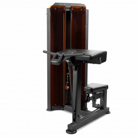 Рендер-0 для Bronze Gym PARTNER ML-803 Бицепс-машина