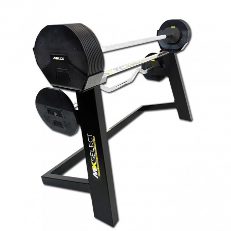 Рендер-0 для First Degree Fitness МХ100, вес 12,8-45,5