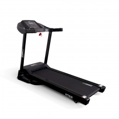 FFT020 в Уфе по цене 55760 ₽ в категории беговые дорожки Everyfit
