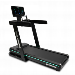 Walkway в Уфе по цене 179990 ₽ в категории беговые дорожки Bronze Gym