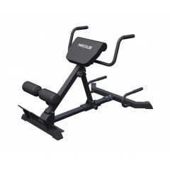 DFC MAXXUS GSMX-600417-00019-0001 из каталога тренажеров для спины  в Уфе по цене 21990 ₽