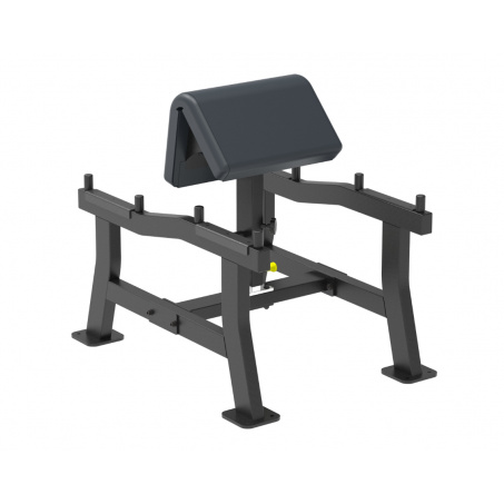 Рендер-0 для Aerofit Impulse SL7018 парта для бицепса