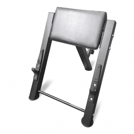 Рендер-1 для Bronze Gym Partner ML-905