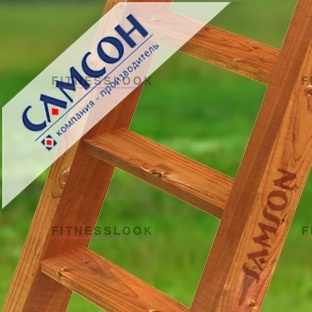 Самсон Лестница деревянная из каталога аксессуаров к игровым комплексам в Уфе по цене 3400 ₽