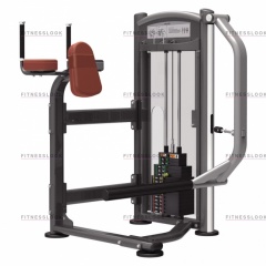 AeroFit IT9326 - ягодичные мышцы из каталога грузоблочных тренажеров в Уфе по цене 132350 ₽