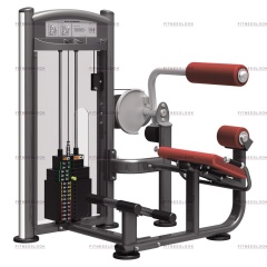 AeroFit IT9332 - разгибание спины из каталога грузоблочных тренажеров в Уфе по цене 205200 ₽